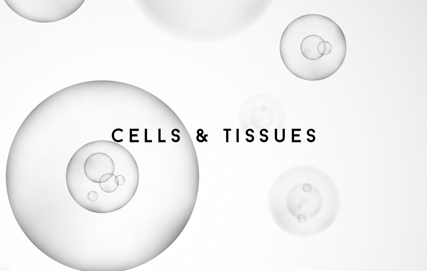Course Image Cells and Tissues