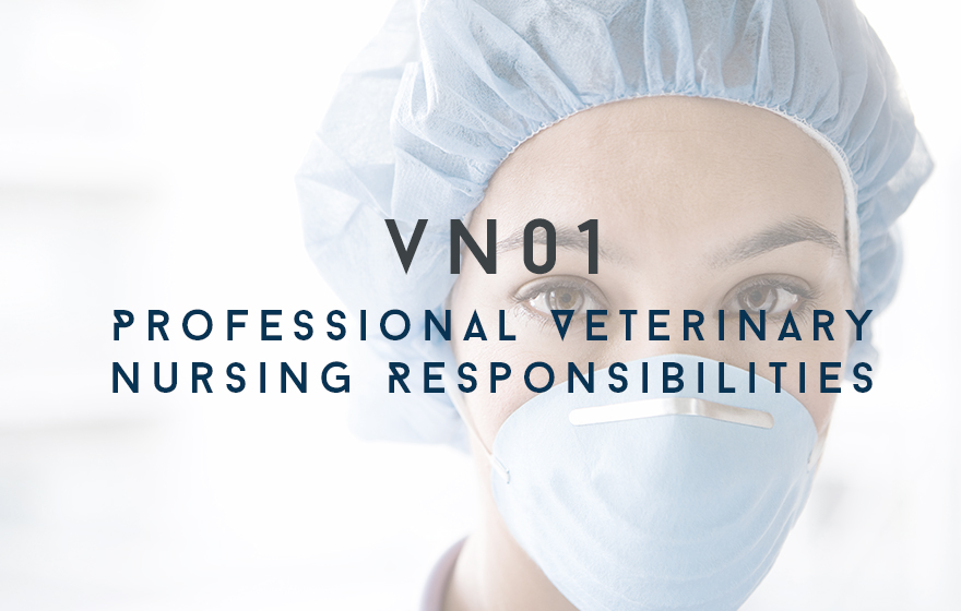 Course Image VN01 Professional Veterinary Nursing Responsibilities