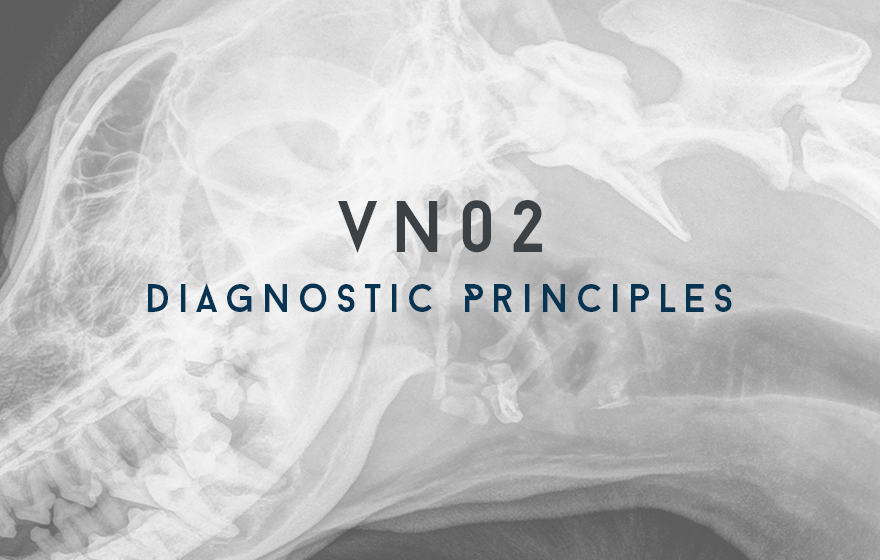 Course Image VN02 Diagnostic Principles